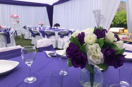 Carpas Carpas para eventos